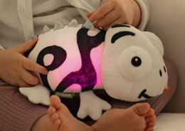 Selection of Soft Toys