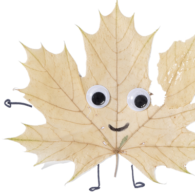 Autumn leaves collage